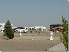 DSCN2632