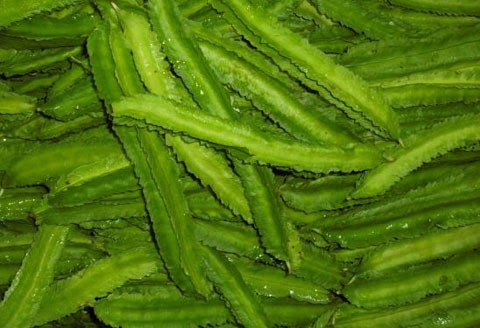 Pokok herba untuk dijual: Kacang Botor