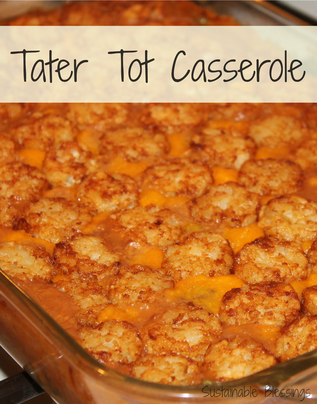 http://www.sustainableblessings.com/2014/01/tater-tot-casserole.html