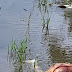 Homem sai para beber e é encontrado m0rto em rio com perfuração nas costas no Amazonas