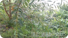 20151013_145644