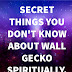 Secret Things You Don't Know About Wall Gecko Spiritually.