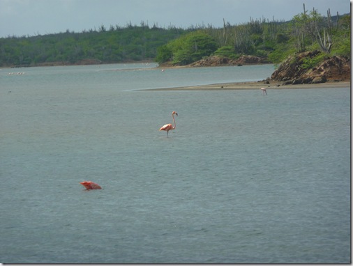 P1000683 (2)