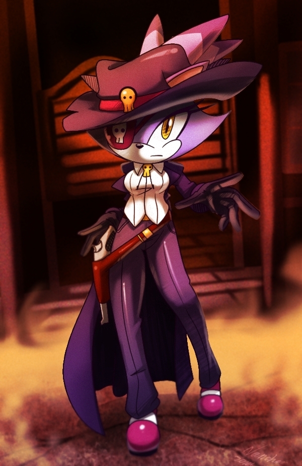 Resultado de imagen de blaze the cat disfrazada