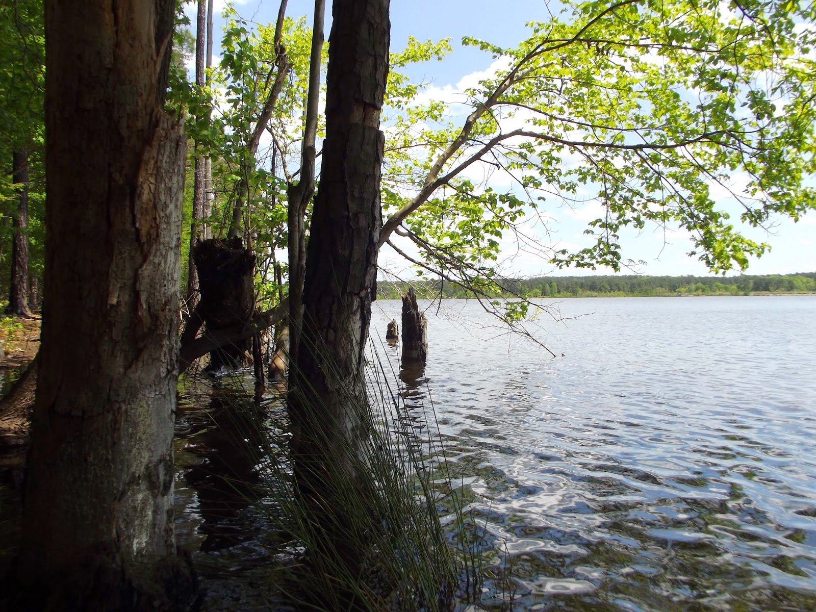 Paddling at Beaver Dam Lake this Time!