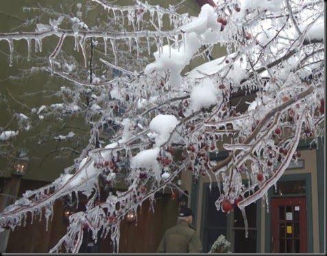 Ice on tree