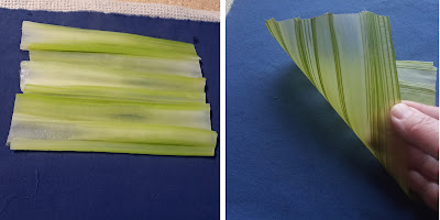 Cooked celery