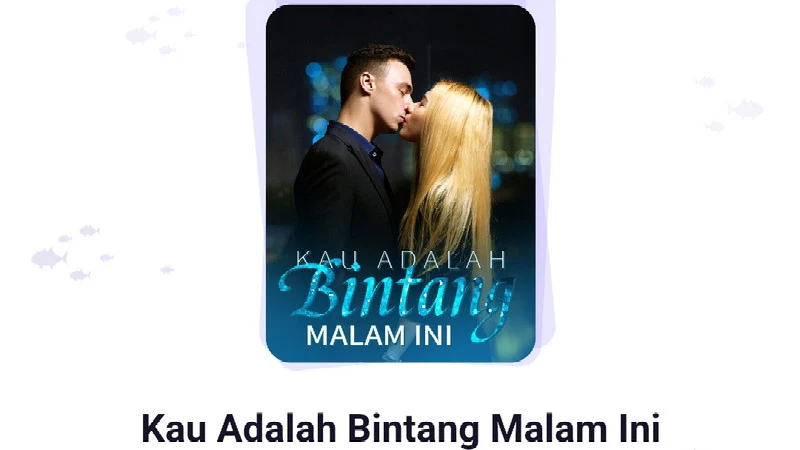 Novel Kau Adalah Bintang Malam Ini Full Bab