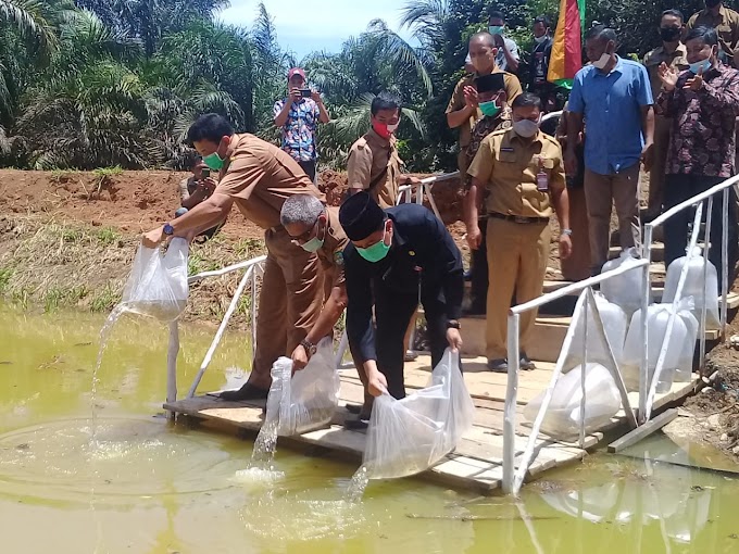 Sekda Rohul Bersama tokoh masyarakat dan Pemuda Taburkan 10 Ribu Ekor Benih Ikan Objek Wisata Cekdam Desa Rambah Tengah Utara