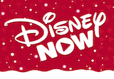 Disney Now on Roku