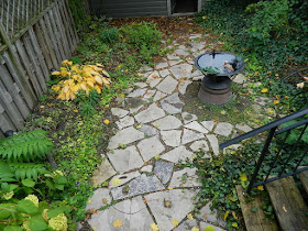 Leslieville Toronto Fall Garden Cleanup Before by Paul Jung Gardening Services--a Toronto Organic Gardening Services Company
