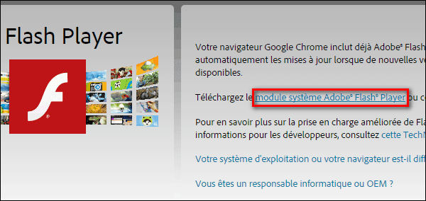Adobe Flash Player System Module من آدوب