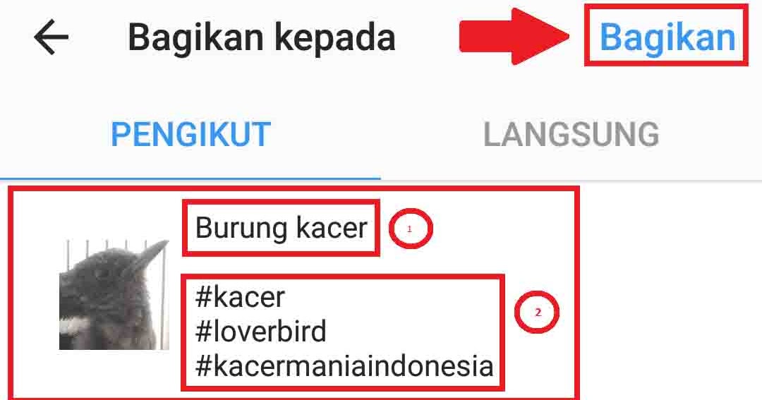 Contoh Caption Dan Gambarnya - Contoh 84