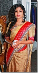 rima_kallingal_in_saree_cute_photos