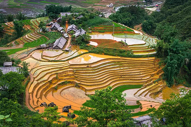 Mẫu Tranh Ruộng Bậc Thang Đẹp