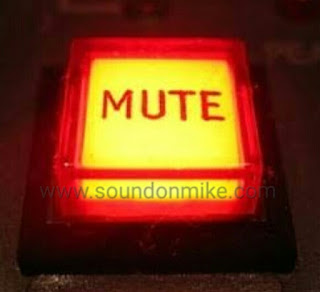 Mute button