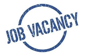 Dubai Painters & Carpenters Job Interviews 2024 | Accelerate Your Success