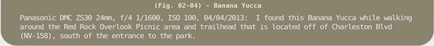 Image Title Bar 68 Fig 02-04 Banana Yucca