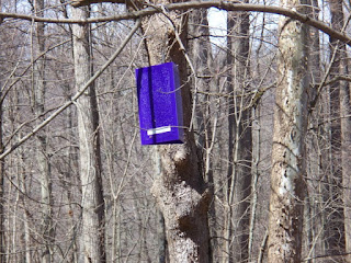 What are those purple bags hanging in Hocking Hills trees?