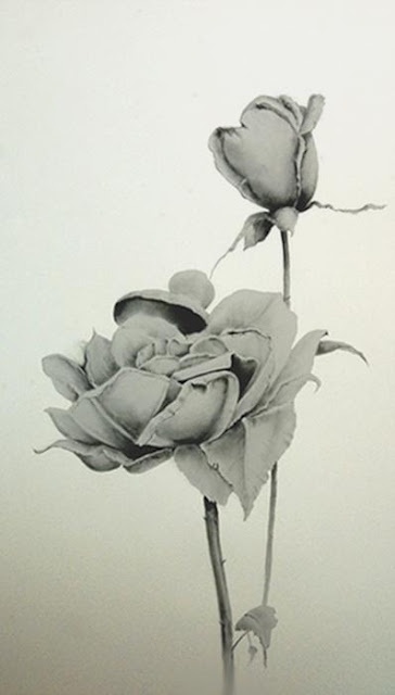 Flowers Drawings