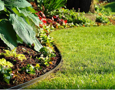Best Garden Edging Ideas And Design You Can Try in 2022