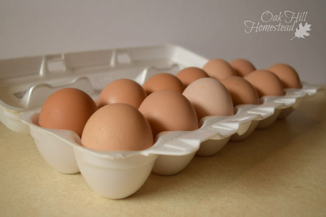 6 ways to preserve eggs