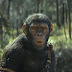 First Trailer for Wes Ball's 'Kingdom of the Planet of the Apes'  starring Owen Teague, Freya Allen :「猿の惑星」シリーズ再開の最新作「キングダム・オブ・ザ・プラネット・オブ・ジ・エイプス」が、猿社会を支配する新たな指導者の暴君が出現したらしい展開をかいま見せた最も最初の予告編を初公開 ! !
