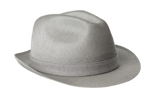 fossasia Gray Hat seo