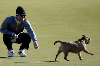 Paul Casey Professional Golf Star Biography, New Pictures And Wallpapers In 2013.