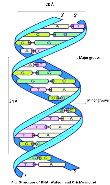 biologicalinform.blogspot.com