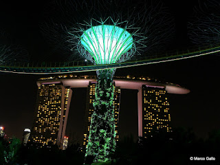 BOSQUE ARTIFICIAL. SINGAPUR