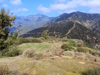 View north from the ridgeline separating San Gabriel and Roberts canyons toward Pine Mt. (left, 4539') and Silver Mt. (right, 3385')