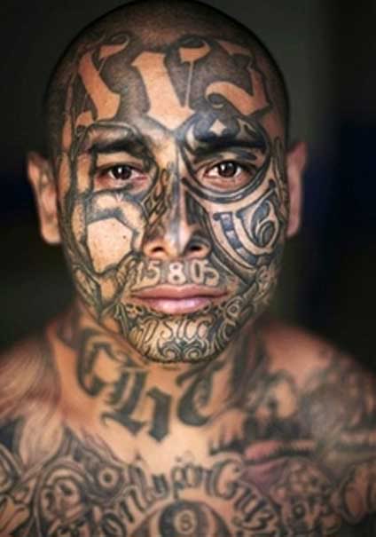 Tattoo Carpa Tribal na Panturrilha Tattoo Fenix Tribal Tattoo F nix Colorida