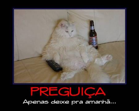 Desmotivacionais, Humor, Gatos, OGatoNinja.blogspot.com