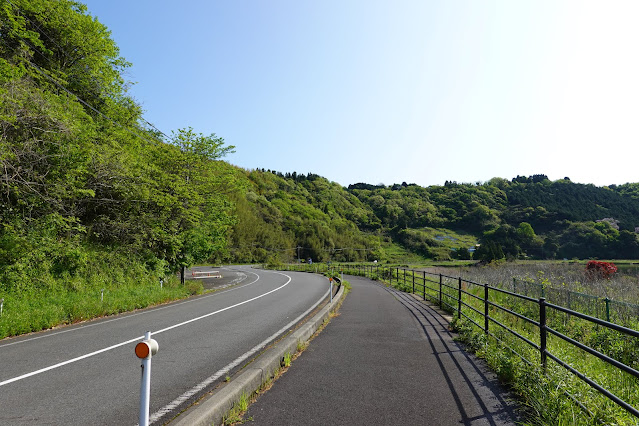 東郷湖一周ウォーキングコース