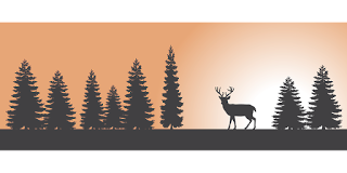un cerf dans une forêt pour illustrer la thématique du jeu Open Country
