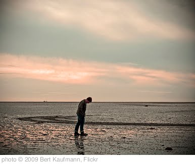 'Loneliness' photo (c) 2009, Bert Kaufmann - license: http://creativecommons.org/licenses/by/2.0/