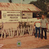 Sejarah Kejayaan Koperasi Kopra di Pulau Seliu, Berdiri Sejak 1 Januari 1949