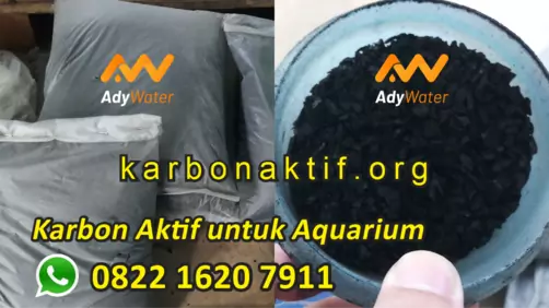 karbon aktif akuarium laut karbon aktif aquarium di malang karbon aktif aquarium laut karbon aktif aquarium terbaik karbon aktif untuk aquarium harga karbon aktif aquarium fungsi karbon aktif aquarium karbon aktif filter aquarium karbon aktif aquarium yang bagus karbon aktif untuk aquarium air laut fungsi karbon aktif untuk aquarium air laut arang karbon aktif untuk aquarium filter karbon karbon aktif active aquarium arang aktif aquarium karbon aktif buat aquarium karbon aktif buat aquarium laut arang aktif buat aquarium arang aktif aquarium yang bagus beli karbon aktif aquarium cara mencuci karbon aktif aquarium cara pakai karbon aktif aquarium cara menggunakan karbon aktif aquarium karbon aktif dalam akuarium fungsi karbon aktif di aquarium cara memasang karbon aktif di aquarium cara menggunakan karbon aktif di aquarium karbon aktif aquascape arang aktif filter aquarium karbon aktif untuk filter aquarium fungsi karbon aktif pada filter aquarium manfaat karbon aktif untuk filter aquarium fungsi karbon aktif pada aquarium fungsi karbon aktif untuk aquarium harga karbon aktif untuk aquarium kegunaan karbon aktif untuk aquarium kegunaan karbon aktif pada aquarium manfaat karbon aktif aquarium karbon aktif untuk aquarium laut manfaat karbon aktif untuk aquarium karbon aquarium karbon aktif pada aquarium penggunaan karbon aktif pada akuarium fungsi karbon aktif pada akuarium penggunaan karbon aktif untuk aquarium perlukah karbon aktif untuk aquarium arang aktif untuk aquarium karbon aktif untuk aquascape