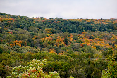 St. Croix valley fall color