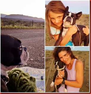 PicMonkey Collage