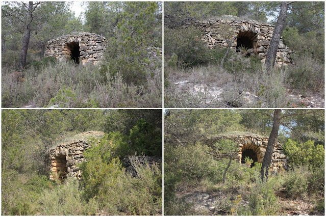 ARBRES SINGULARS A L'ALBÀ-AIGUAMÚRCIA-ALT CAMP, camí de Cal Cortada i barraca de pedra seca a la Solana de Cal Guillem