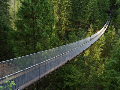 Cool and Beautiful Scary Bridges