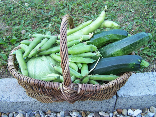 Quels outils acheter pour démarrer son potager ?