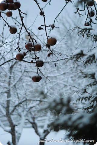 vinter hemma 2010 057