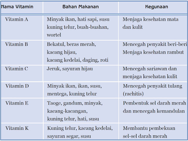 Image result for tabel vitamin yang dibutuhkan oleh tubuh beserta nama lainnya