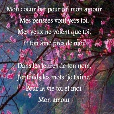 Belle nuit citation