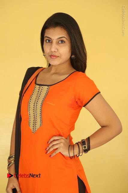 Telugu Actress Chandana Stills in Salwar Kameez at Karam Dosa Movie Press Meet  0001.JPG