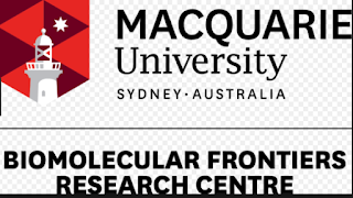 macquire vice chancellor international scholarship