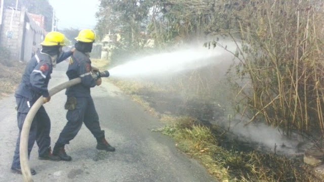 Incendios forestales consumieron al menos 650 hectáreas en el estado Mérida.